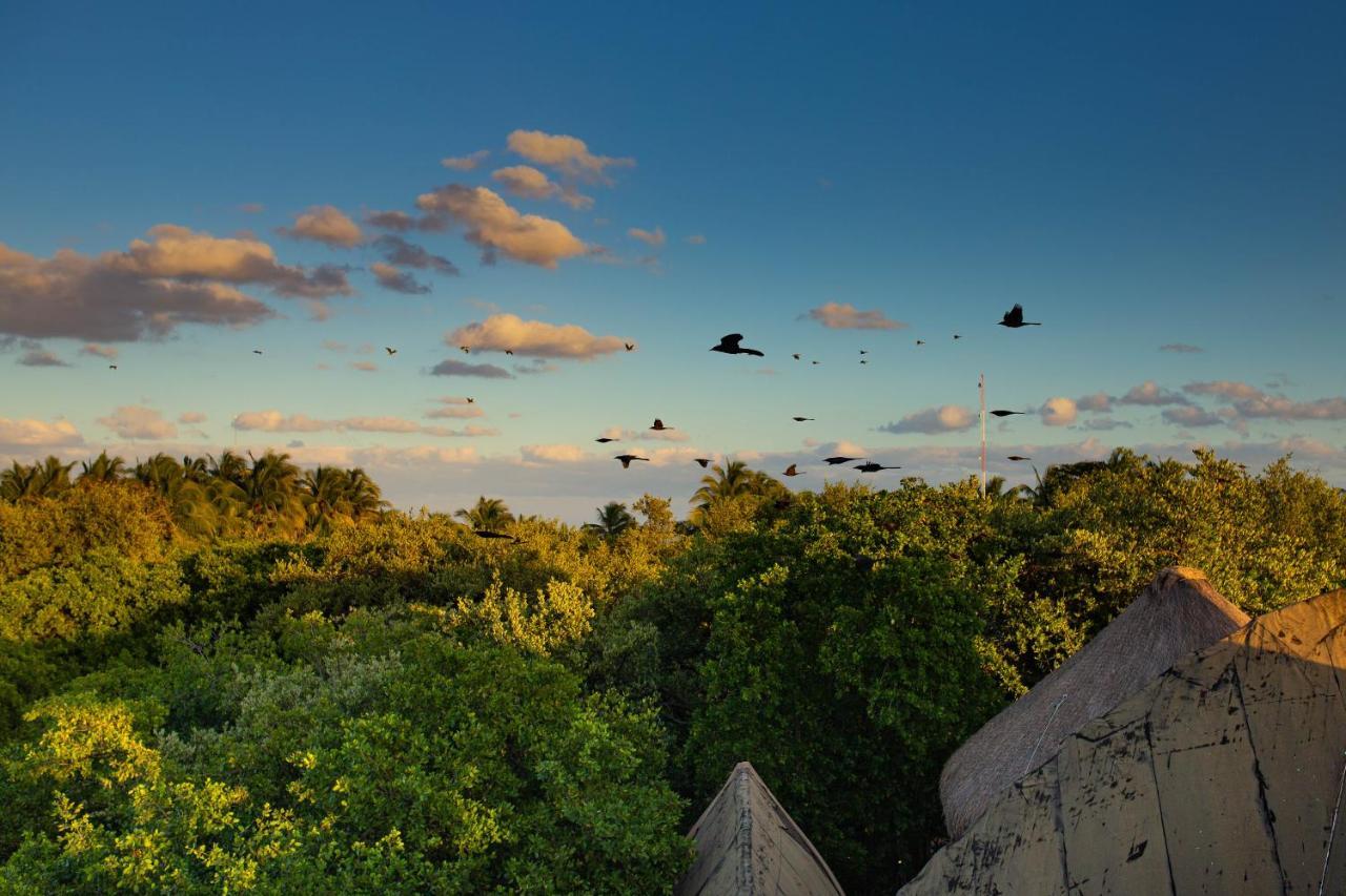 Mamasan Treehouses & Cabins Tulum Exterior photo